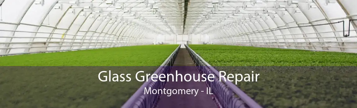 Glass Greenhouse Repair Montgomery - IL